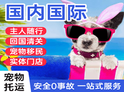 天津滨海机场邮寄国际宠物托运 【国